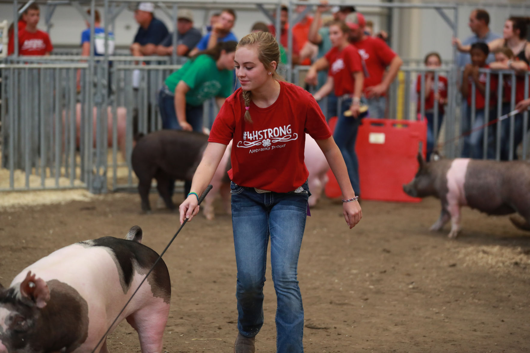 071119_HallCoFair36_bjs.JPG